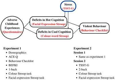 Childhood trauma and violent behavior in adolescents are differentially related to cognitive-emotional deficits